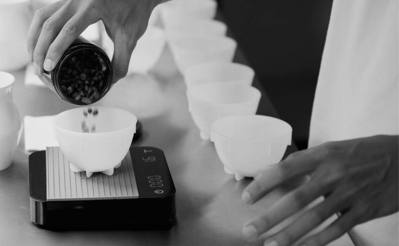 coffee profiles